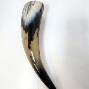 Water Buffalo Medieval/Pirate/Viking Drinking Horn average 11 inch